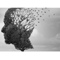 A black-and-white image of the profile of a head made out of a tree and leafs. The location of the brain is made up of empty branches and leafs floating away.